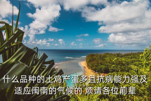 什么品种的土鸡产蛋多且抗病能力强及适应闽南的气候的 烦请各位前辈