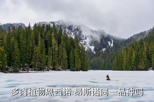 昂斯诺，多肉昂斯诺摘心后会长成什么样子