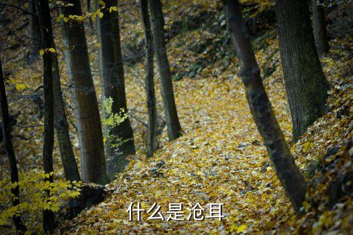 仓耳，仓耳是什么花花语是什么
