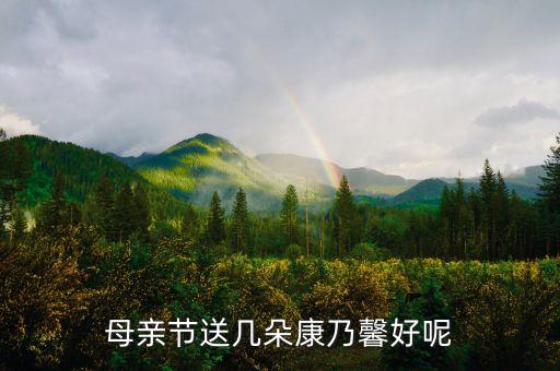 康乃馨一般送几朵，母亲节送几朵康乃馨好呢