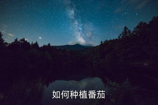 如何种植番茄