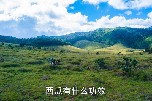 西瓜作用，吃西瓜对人有什么好处