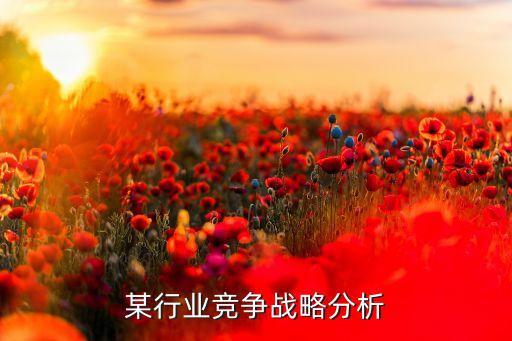 某行业竞争战略分析