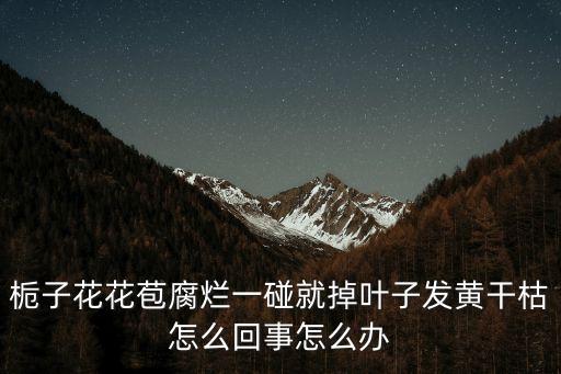 栀子花叶子发黄干枯掉叶子怎么办，我的栀子花叶子都黄掉了 怎么办啊