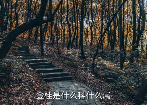 金桂，金桂就是丹桂吗