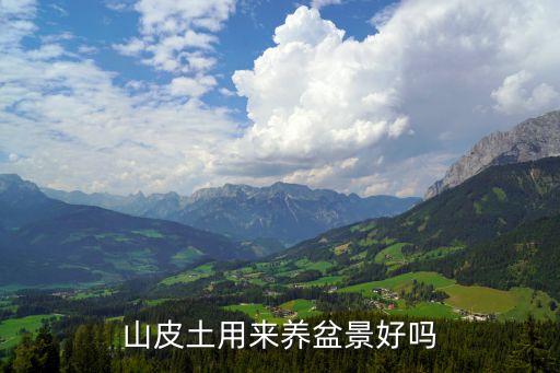 山皮土，山皮土用来养盆景好吗