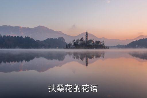 扶桑花的花语