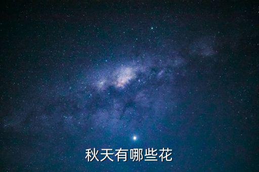 秋天的花有哪些，秋天有什么花