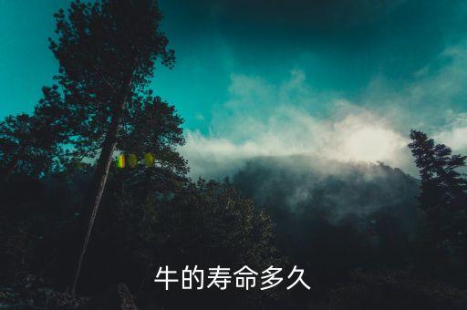 牛的寿命多久