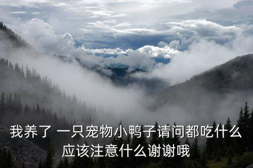 我养了 一只宠物小鸭子请问都吃什么应该注意什么谢谢哦