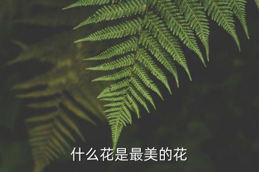 什么花最美，什么花是最美的花