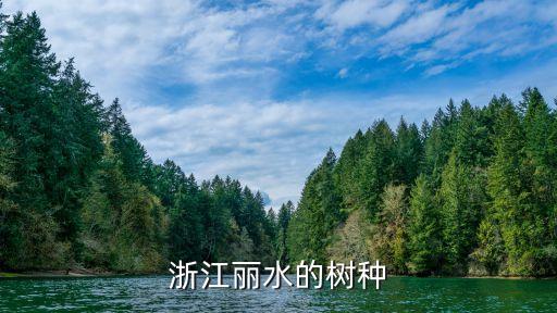 菜豆树图片，植物专家进图这是什么植物