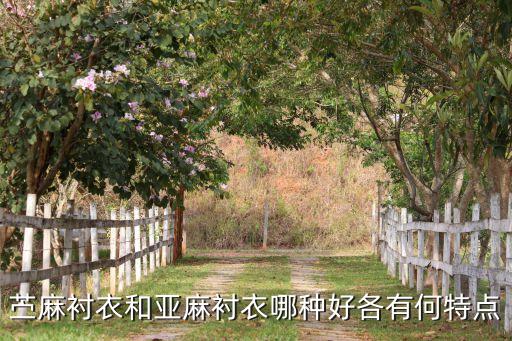 苎麻衬衣和亚麻衬衣哪种好各有何特点