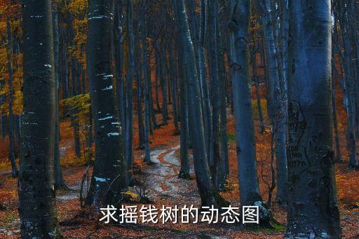 求摇钱树的动态图