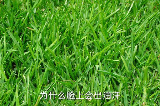 油汗，身上出油汗请问怎么办