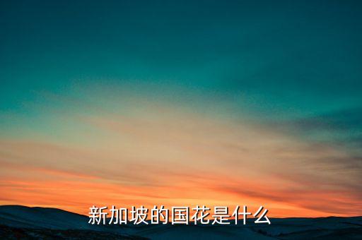 新加坡国花，新加坡的国花是什么于哪年选为国花的