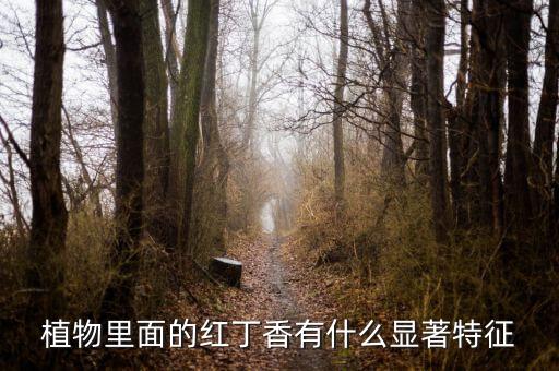 植物里面的红丁香有什么显著特征