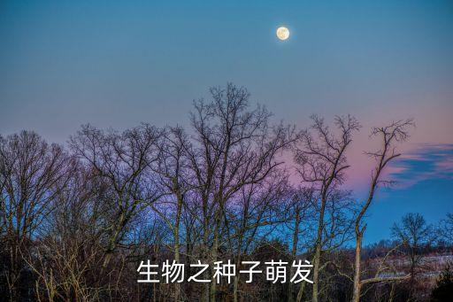 种子萌发，种子是怎么发芽的
