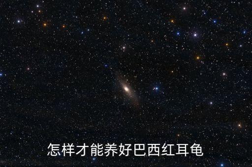 巴西红耳龟怎么养，巴西红乌龟怎么养