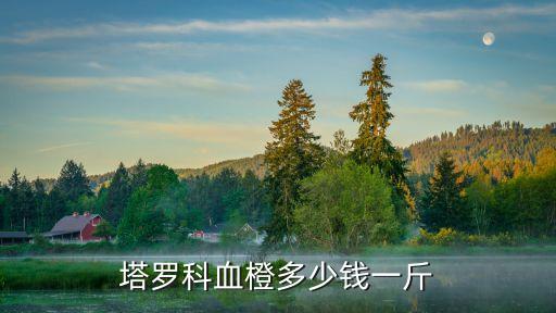 塔罗科血橙多少钱一斤