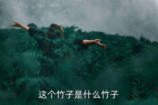 这个竹子是什么竹子