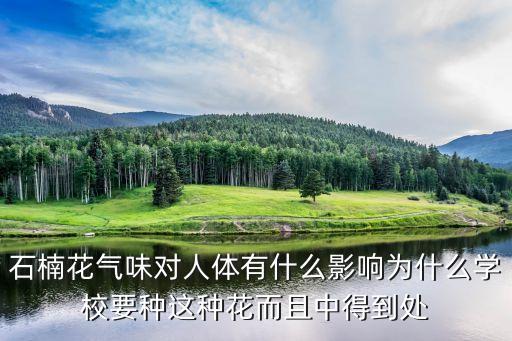 石楠花的味道，石楠花的味道真的类似于JY的味道么