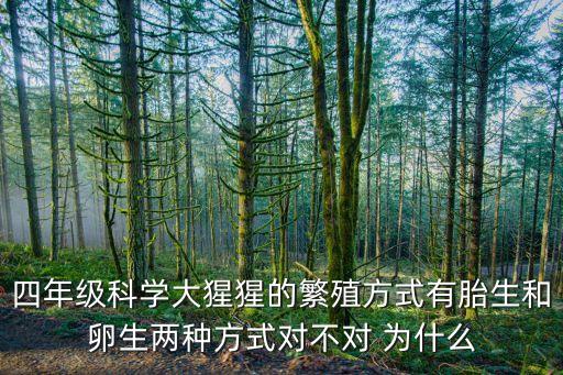 大猩猩交配，四年级科学大猩猩的繁殖方式有胎生和卵生两种方式对不对 为什么