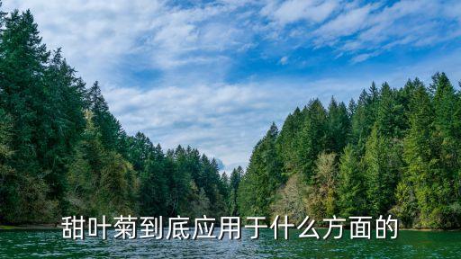 甜叶菊到底应用于什么方面的