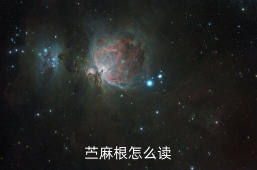 苘麻读音，苎这个字怎么念