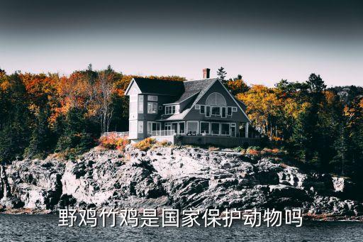 野鸡是保护动物吗，野鸡是保护动物吗
