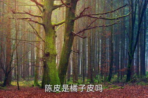 陈皮就是橘子皮吗，陈皮是橘子皮吗