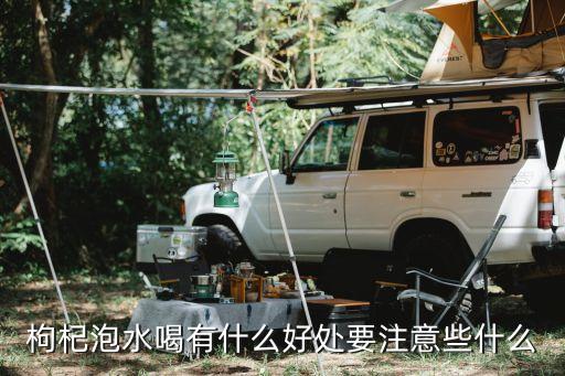 枸杞子泡水喝，枸杞子泡水喝了有什么好处
