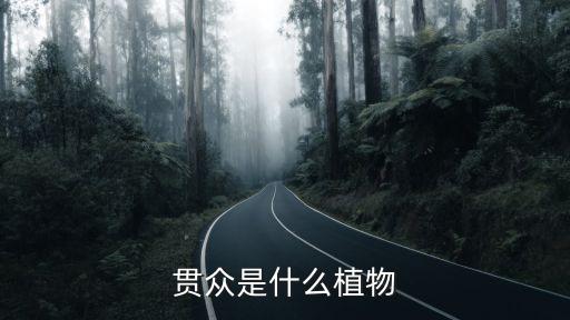 贯众是什么植物