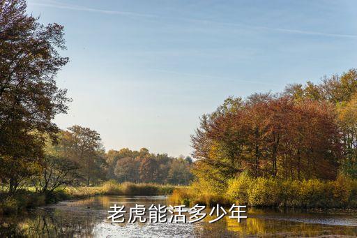 老虎寿命，老虎的寿命一般多少年