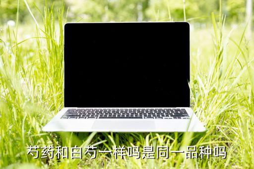 芍药和白芍一样吗，白芍和芍药的区别如何解释这两味药