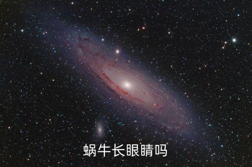 蜗牛长眼睛吗