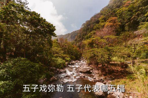 五子戏弥勒 五子代表哪五福