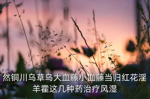 然铜川乌草乌大血藤小血藤当归红花淫羊霍这几种药治疗风湿