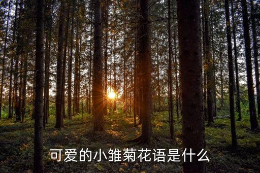 可爱的小雏菊花语是什么