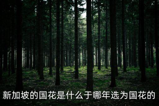 新加坡的国花是什么于哪年选为国花的