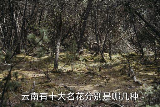 云南八大名花，云南八大名花是指那些花