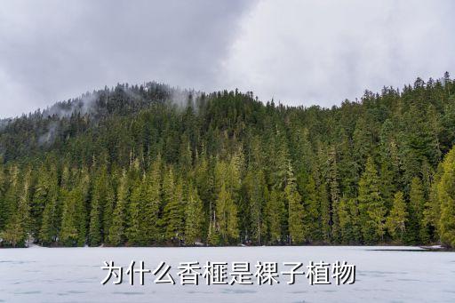 为什么香榧是裸子植物