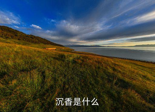 什么是沉香木，沉香是什么