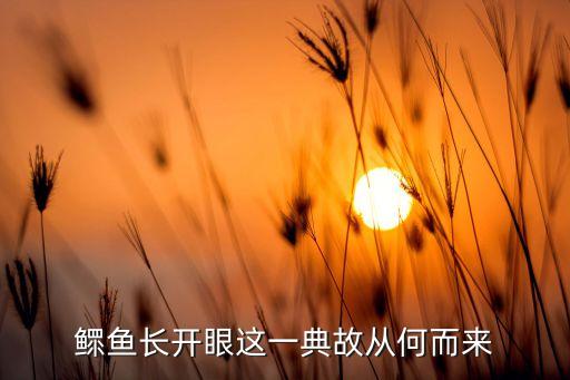 鳏鱼，什么地方最多鱤鱼