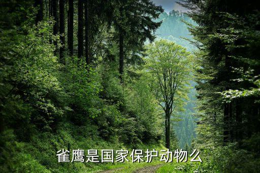 雀鹰是国家保护动物么