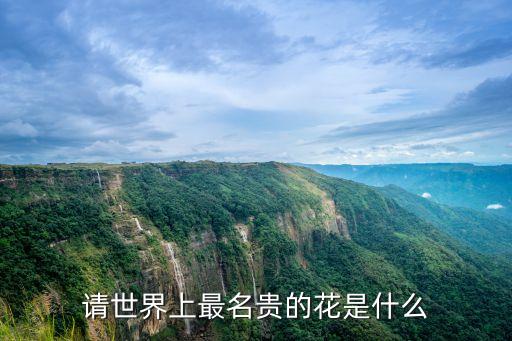请世界上最名贵的花是什么