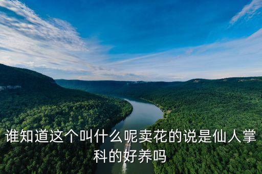 耳坠草，这是什么植物