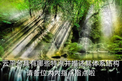 云平台具有哪些特点并描述其体系结构请各位大大指点指点啦