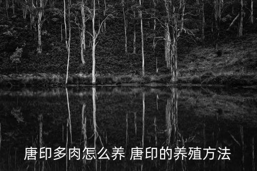 唐印多肉怎么养 唐印的养殖方法