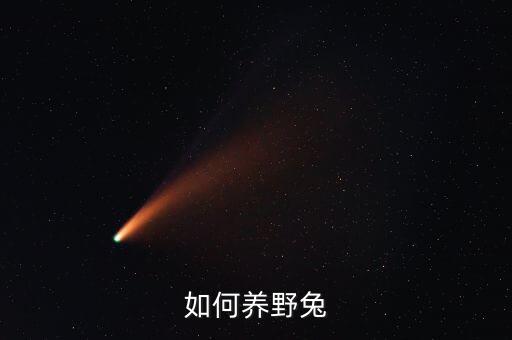 野兔养殖，如何养野兔
